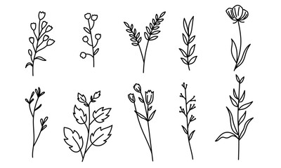 Collection of sketched wildflowers and leaves, on white background. Artistic flora depiction - obrazy, fototapety, plakaty
