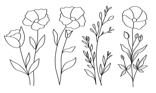 Collection of delicately hand-drawn wildflowers