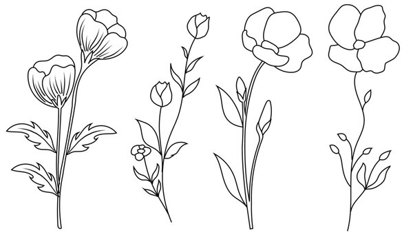 Collection of sketched wildflowers and leaves