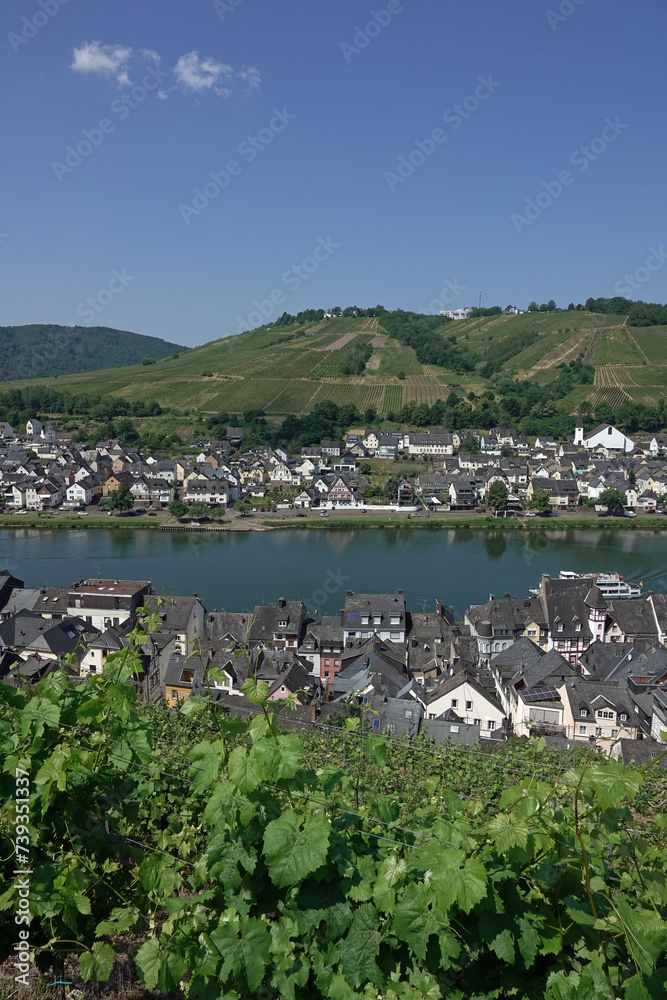 Wall mural Zell an der Mosel