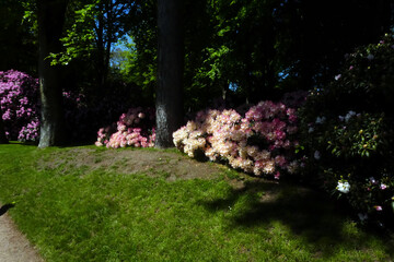 Rhododendronparken Bronderslev
