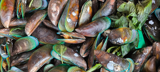Frozen mussel in the shell. Freshly-frozen mussels in shells . The mussel in the sink is ready to be cooked. Plate with mussels. Mussel shells lie on the plates. Fresh mussels. Top view.
