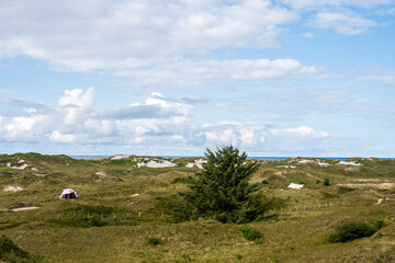 Insel Amrum die Dünen im Bereich des Leuchtturmes können zum Campen genutzt werden, am Horizont die Nordsee - 739361921