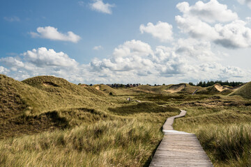 Dünenlandschaft auf der Nordseeinsel Amrum mit Blick auf die Nordsee auf den Ort Norddorf - 739362598