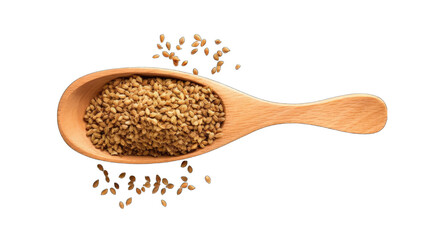 A wooden spoon filled with green coriander seeds.