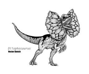 Dilophosaurus. Dinosaur sketch drawing. Black and white. Hand drawn vector art. line art - 739365119