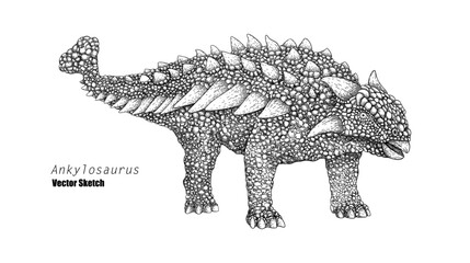 Ankylosaurus. Dinosaur sketch drawing. Black and white. Hand drawn vector art. line art - 739365163