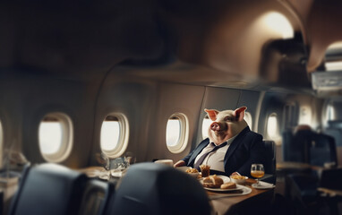 Obraz premium fat pig in a business class compartment of an airplane eats food in a business suit, the concept of wealth and luxury of super-rich people.