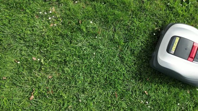 Robot tondeuse traverse de gauche &agrave; droite pr&eacute;s
