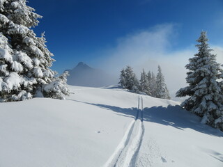 Gamskopf Füssener Jöchle im Winter