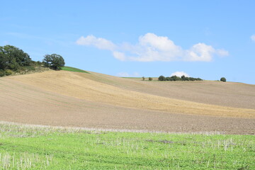 Fototapeta na wymiar wave shaped farmland hills