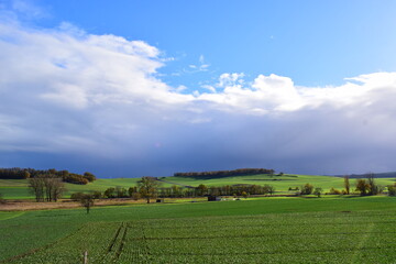 late summer light on green farmland