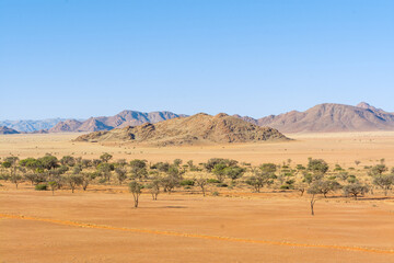 Fototapeta na wymiar Einzigartige Namib-Landschaft