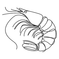 Shrimp in a line drawing style
