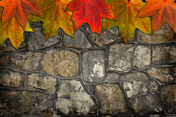 Background grey stone wall close-up with autumn maple leaves decoration.