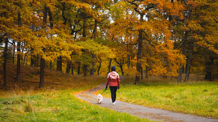 Woman and a dog walking in a autumn park in Stockholm, Sweden