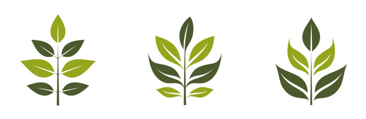 green twig icons. eco friendly, botanical and organic symbols. isolated vector images