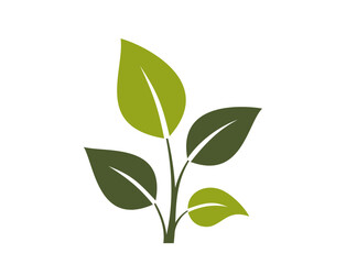 Obraz premium plant twig icon. botanical, spring and nature symbol. isolated vector illustration