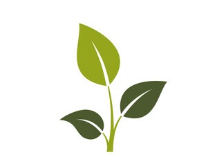green sprout icon. botanical, growing and plant symbol. isolated vector illustration