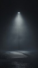 The light of the electric pole illuminates the darkness - obrazy, fototapety, plakaty