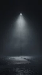 Fotobehang The light of the electric pole illuminates the darkness © Shutter2U
