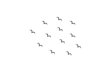  Creative Vector illustration flying flock of birds. Illustration vector flight bird silhouettes collection. - obrazy, fototapety, plakaty