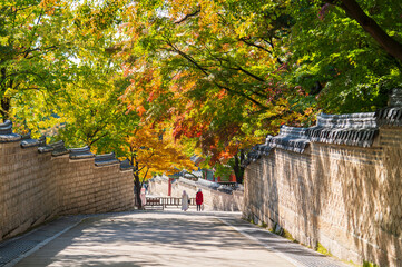Huwon the Secret Garden inner part of Changdeokgung Palace with Autumn season background, Seoul city,  South Korea - 739402709