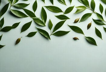 tea leaves on minimal background, drink 