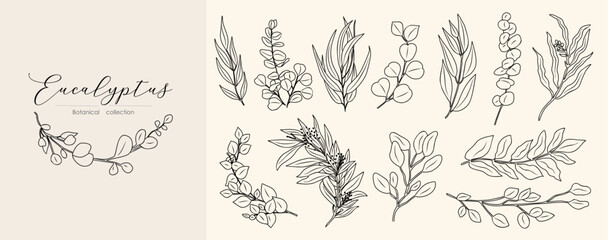 Eucalyptus Line Drawing Print Set. Botanical Poster. Modern Line Art, Aesthetic Contour. Perfect for wedding invitations, Wall Arts, tattoo, logo, jewelry design. Ink style vector illustrations
