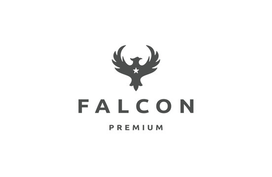 Falcon logo icon design template