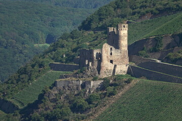 Ruine Ehrenfels am Rhein