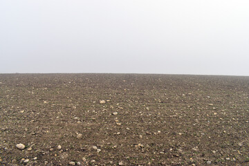 Landscape of a sown field in winter with fog