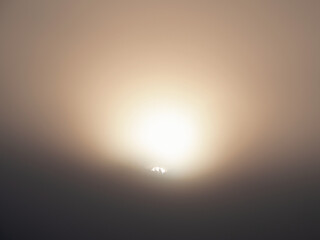 disk of the sun rises behind the crowns of the trees in a thick fog