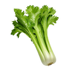 vegetables isolated on white
