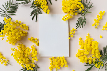 Spring background for 8 March, Mother day or birthday with fresh mimosa flowers and empty paper...
