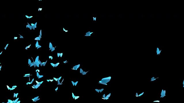 Blue Butterflies.
This stock motion graphics video shows blue butterflies flying against an alpha channel background.