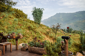plants with beautiful views of the mountains in sapa, vietnam - 739422576