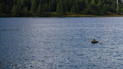 Barca a remi sul lago
