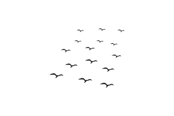 Fotobehang Creative Vector illustration flying flock of birds. Illustration vector flight bird silhouettes collection. © imrangdpro