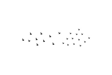 Creative Vector illustration flying flock of birds. Illustration vector flight bird silhouettes collection.
