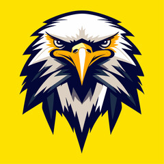 American bald eagle head