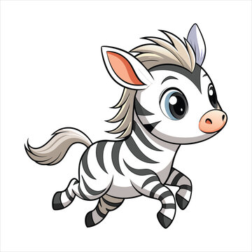 Vector of a cartoon cute baby zebra on white