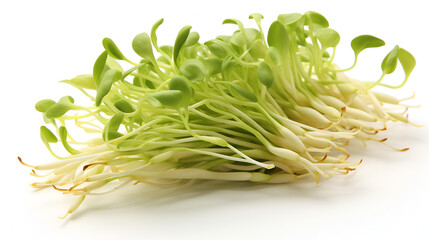 Bean Sprouts on White Background, Bean sprout in petri dish genetic modified, Generative Ai 