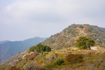 Fototapeta na wymiar Views while gravel biking in the Santa Monica Mountains on Sullivan Ridge during an overcast day.