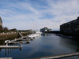 Fototapeta premium View of a pier in Boston extending out into the ocean, with boats docked along the wooden structure. The scene captures the serene maritime atmosphere and expansive sea horizon beyond