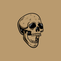 illustration of skull.