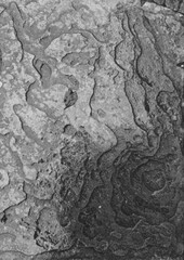 pavement texture