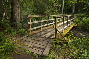 Fototapeta na wymiar Wooden footbridge on hiking track at Egge Museum in Steinkjer in Norway, Europe 