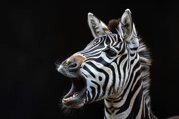 Keuken spatwand met foto portrait of a zebra © paul