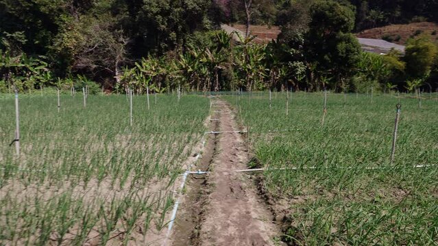 Rotating plane in a crop field with irrigation canals